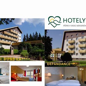 Hotel Srni A Depandance